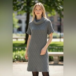 Banana Republic Extra Fine Merino Wool Turlneck Short Sleeve Cozy Sweater Dress